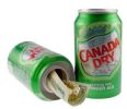 Ginger Ale Diversion Safe