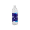 Water Bottle Diversion Safe